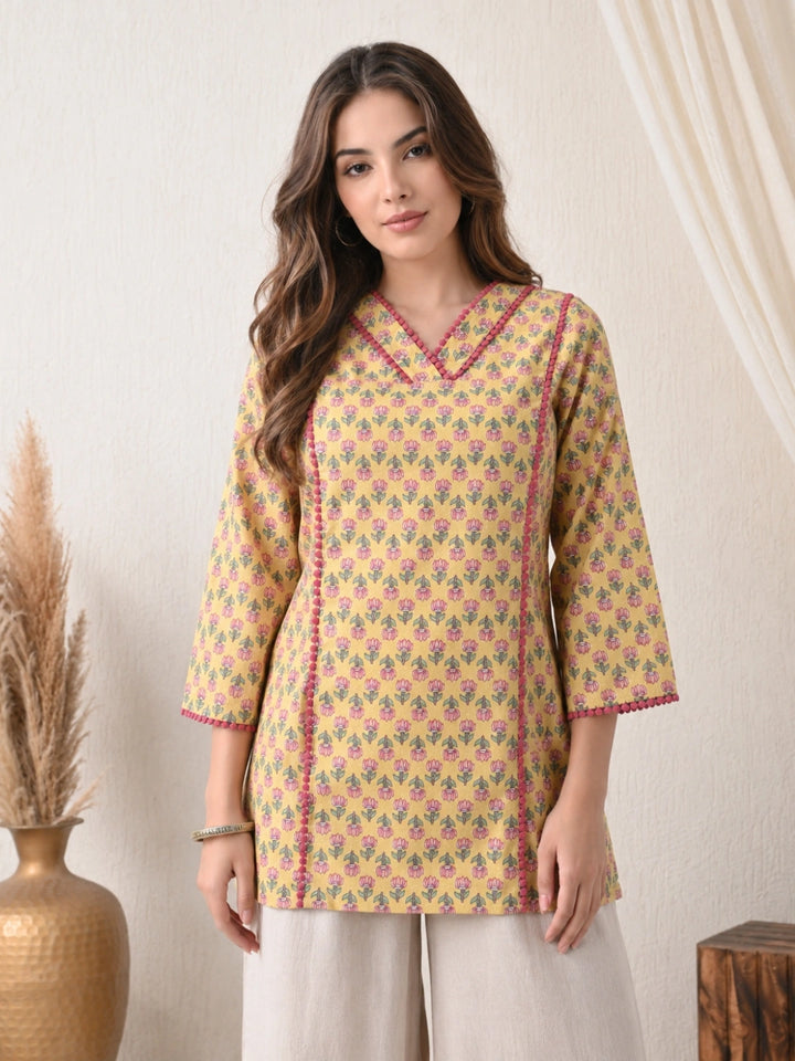 Ashvani Top