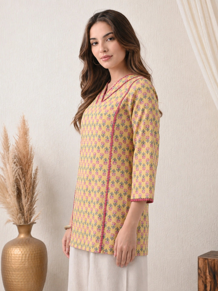 Ashvani Top