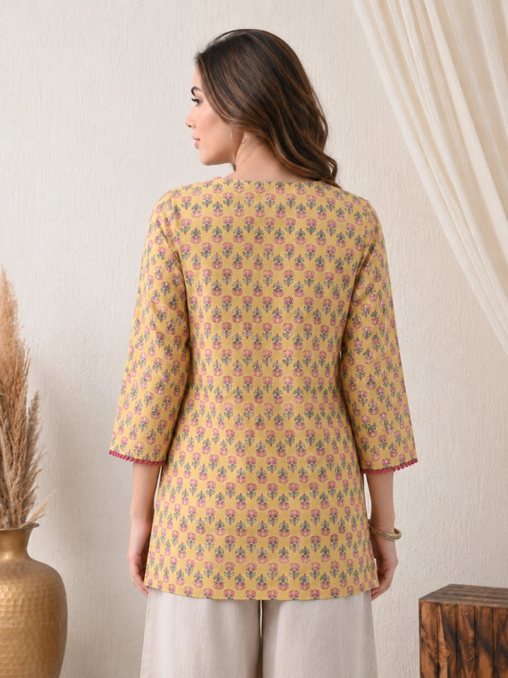 Ashvani Top