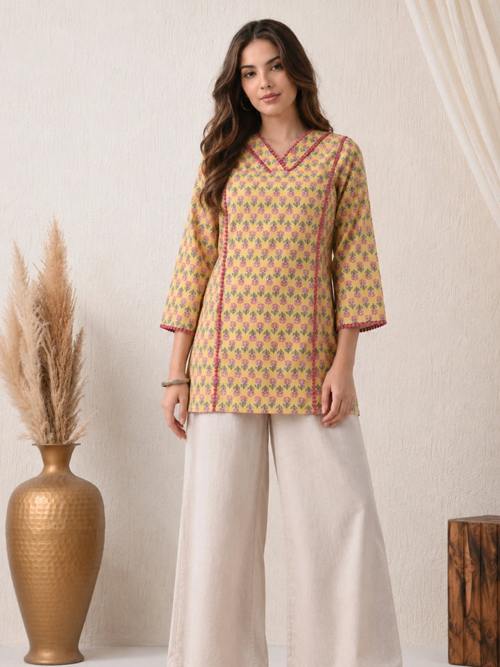 Ashvani Top