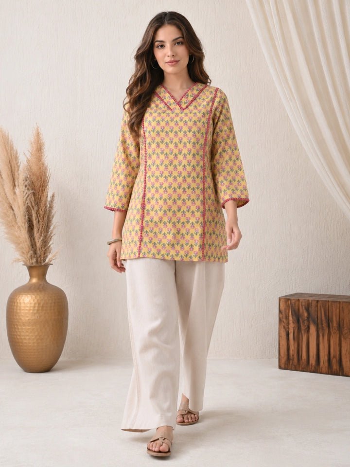 Ashvani Top